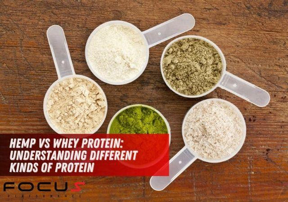 Hemp vs Whey Protein: Understanding Different Kinds of Protein