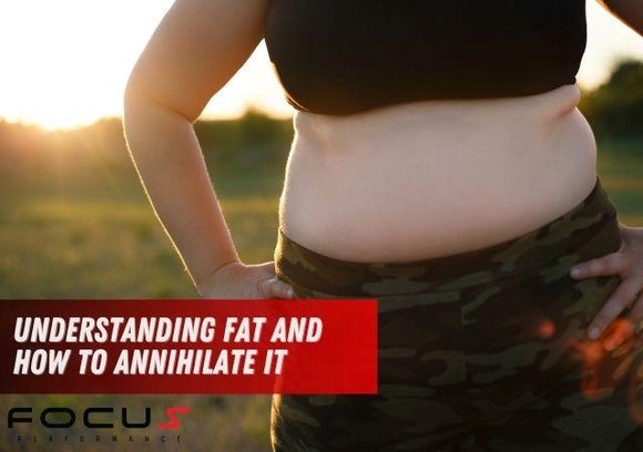 Understanding Fat and How to Annihilate It