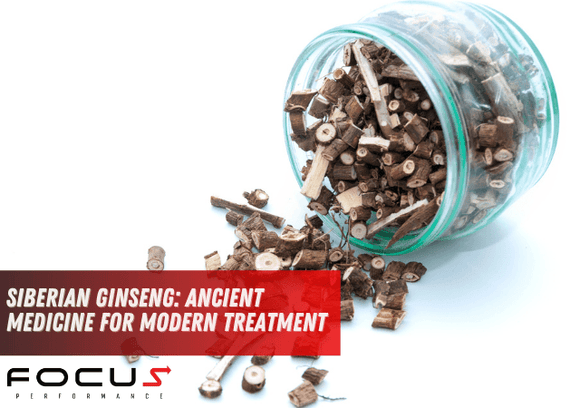 Siberian Ginseng: Ancient Medicine for Modern Treatment
