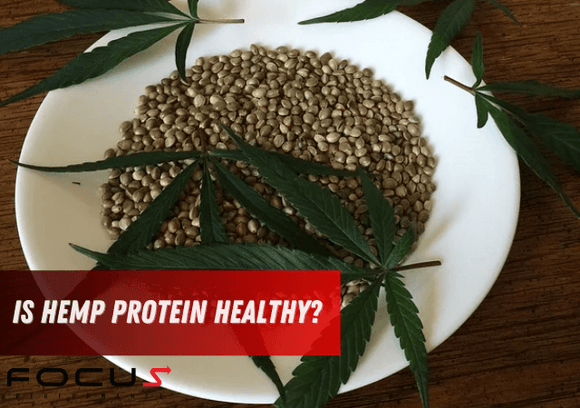Is Hemp Protein Healthy?
