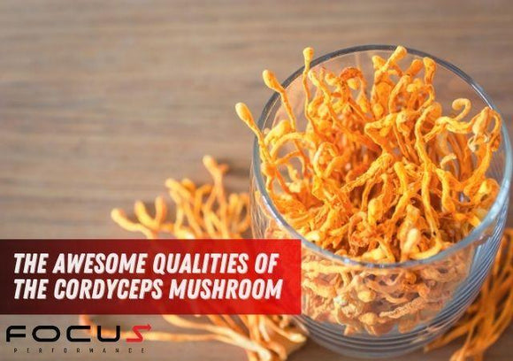 The Awesome Qualities of the Cordyceps Mushroom