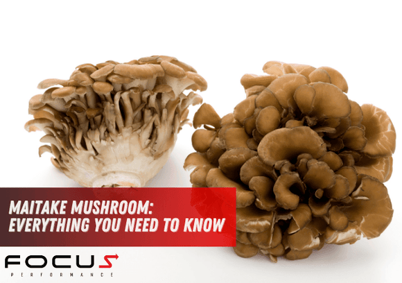 Maitake Mushroom: Everything You Need to Know