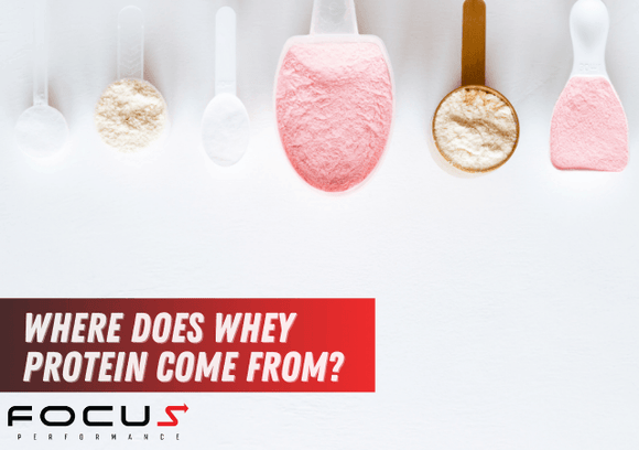 Where Does Whey Protein Come From?
