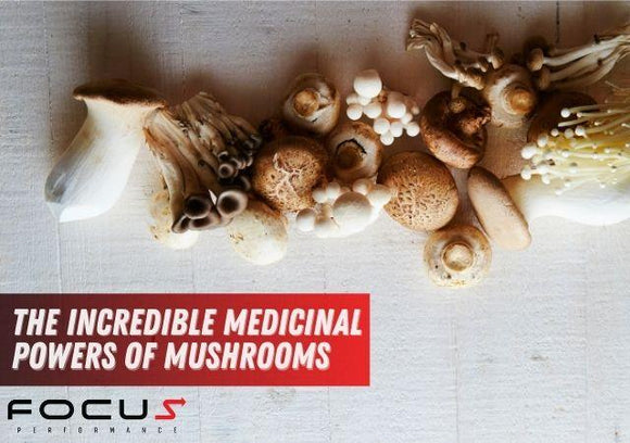 The Incredible Medicinal Powers of Mushrooms