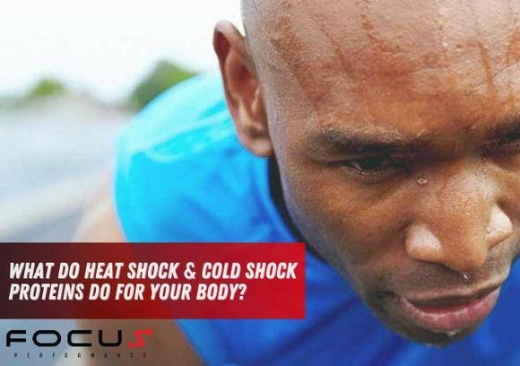 What Do Heat Shock & Cold Shock Proteins Do For Your Body?