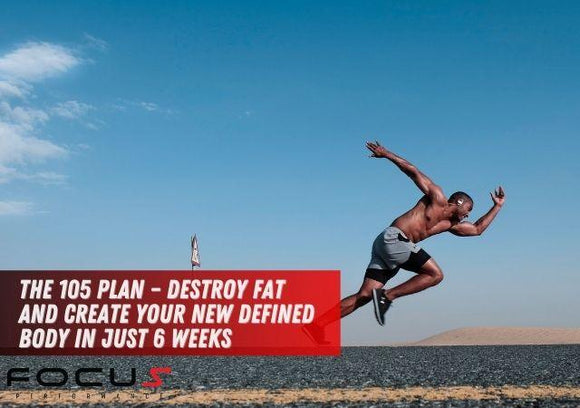 The 105 Plan – Destroy Fat and Create Your New Defined Body in Just 6 Weeks